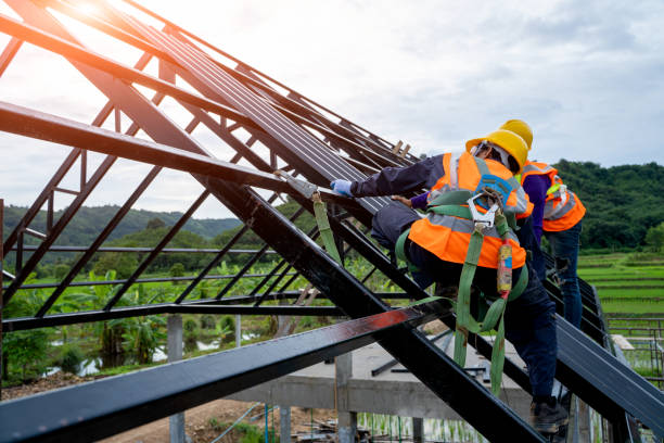 Best Roof Restoration Services  in Newton Falls, OH