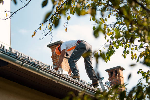 Best Roofing Contractor Near Me  in Newton Falls, OH