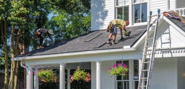 Best Roof Leak Repair  in Newton Falls, OH