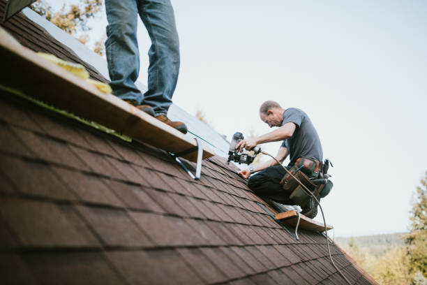 Best Roof Gutter Cleaning  in Newton Falls, OH